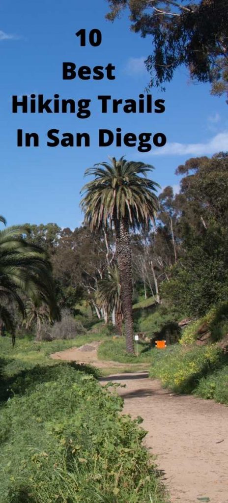 10 Best Hiking Trails In San Diego