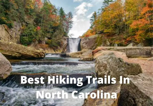 Best Hiking Trails In North Carolina