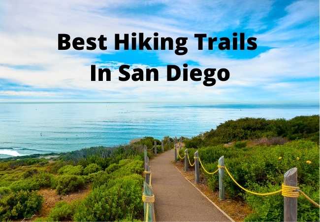 Best Hiking Trails In San Diego